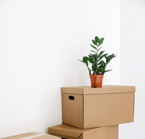 Image depicting the Service Rentals